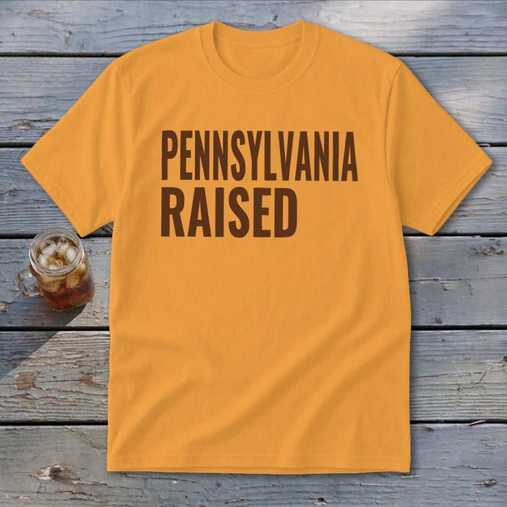 Orange t-shirt with brown text that reads "PENNSYLVANIA RAISED".