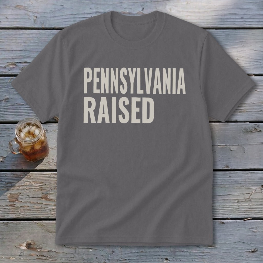 Gray t-shirt with "PENNSYLVANIA RAISED" printed in beige text.