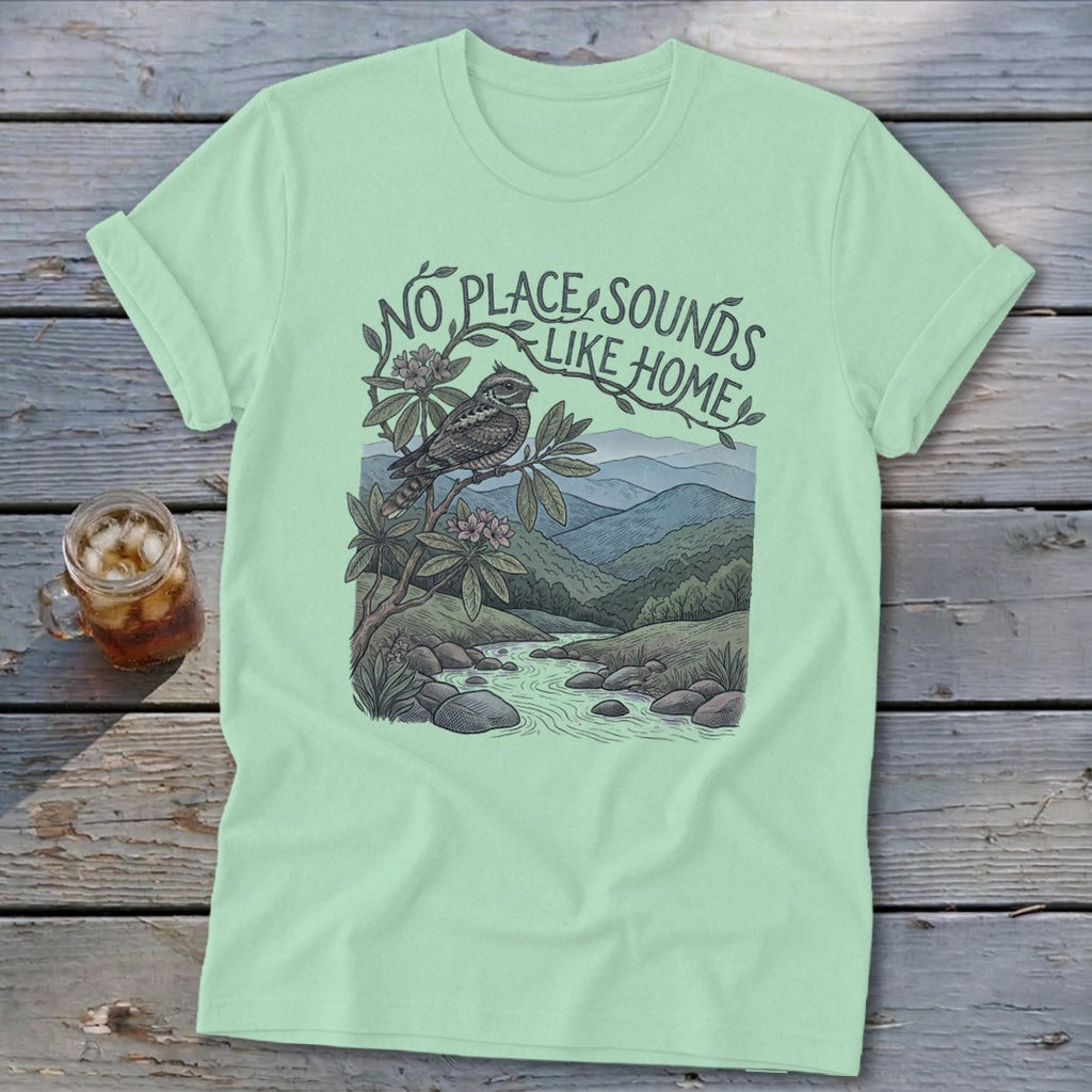 Mint t-shirt with a bird on a branch above a river and mountains, text reads "No place sounds like home".
