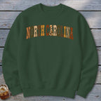 North Carolina Faux Embroidery Letters Sweatshirt