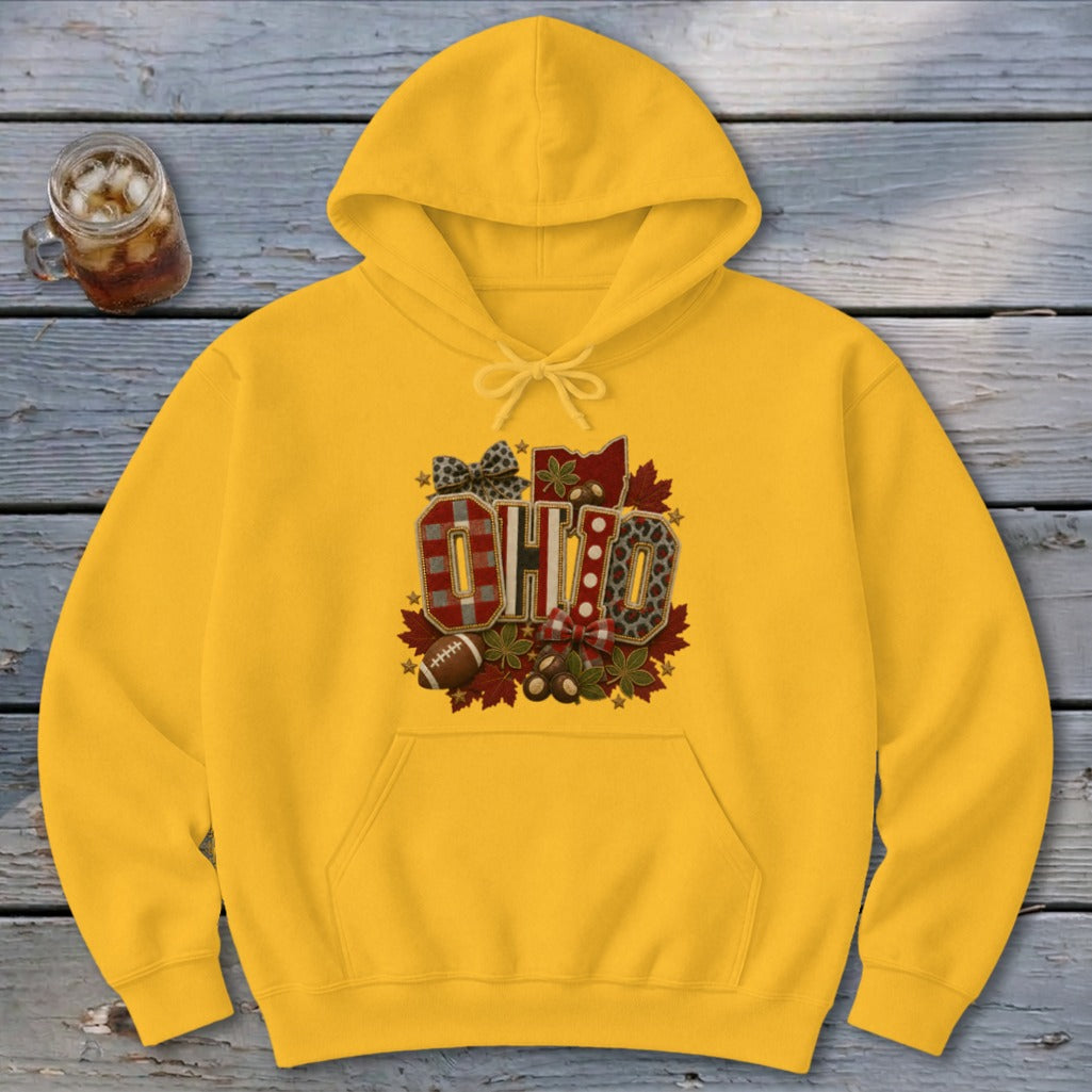 Ohio Faux Chenille Fall Patch Hoodie