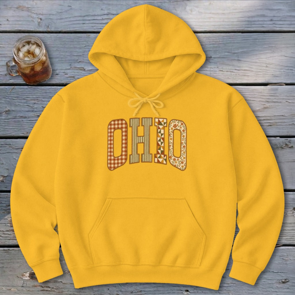 Ohio Faux Embroidery Letters Hoodie