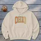 Ohio Faux Embroidery Letters Hoodie