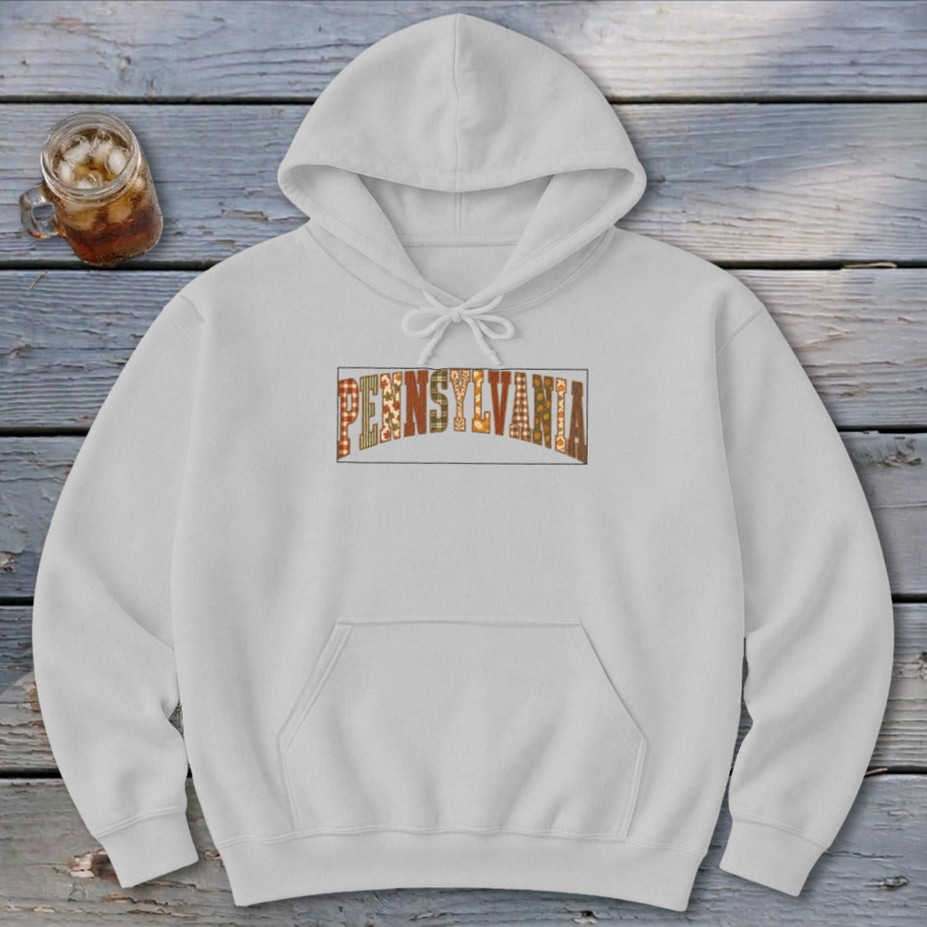 Pennsylvania Faux Embroidery Letters Hoodie