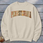 Pennsylvania Faux Embroidery Letters Sweatshirt