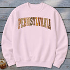 Pennsylvania Faux Embroidery Letters Sweatshirt