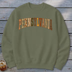 Pennsylvania Faux Embroidery Letters Sweatshirt