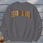 Pennsylvania Faux Embroidery Letters Sweatshirt