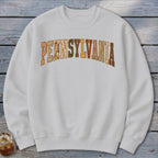 Pennsylvania Faux Embroidery Letters Sweatshirt