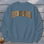 Pennsylvania Faux Embroidery Letters Sweatshirt