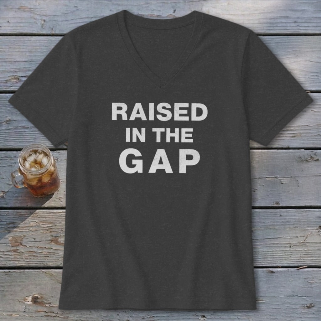 Raised in the Gap V-neck