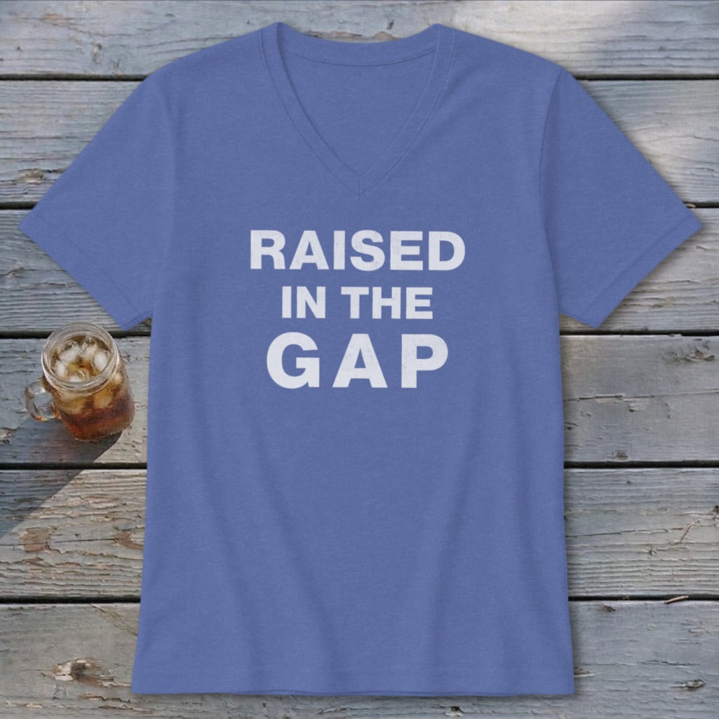 Raised in the Gap V-neck