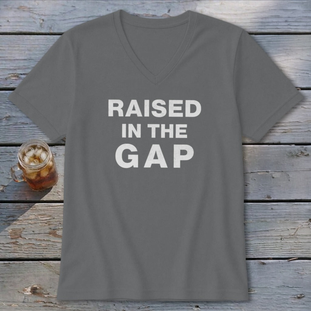 Raised in the Gap V-neck