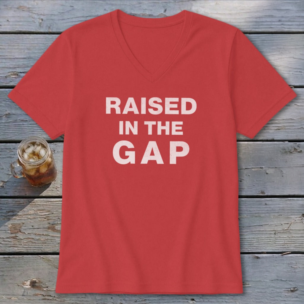 Raised in the Gap V-neck