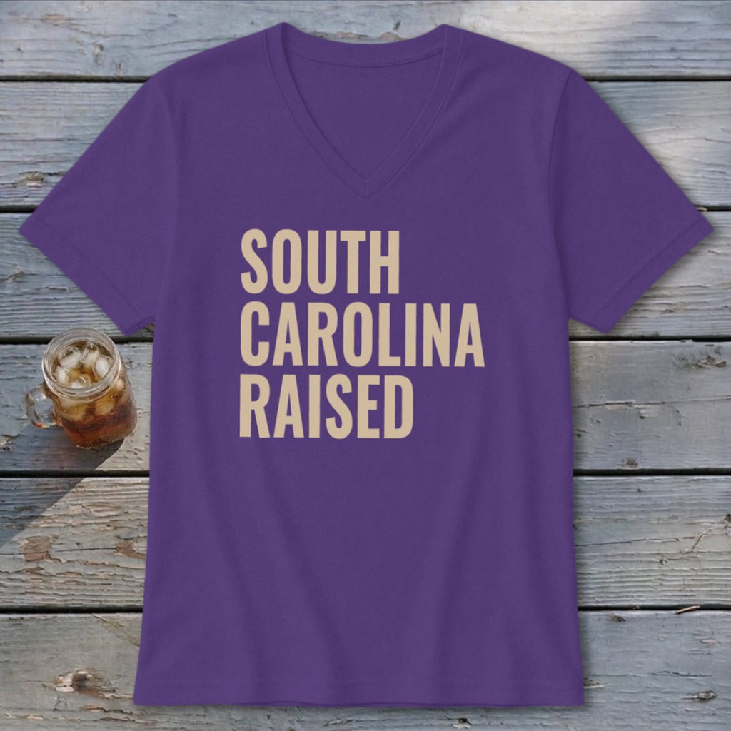 South Carolina Raised V-neck
