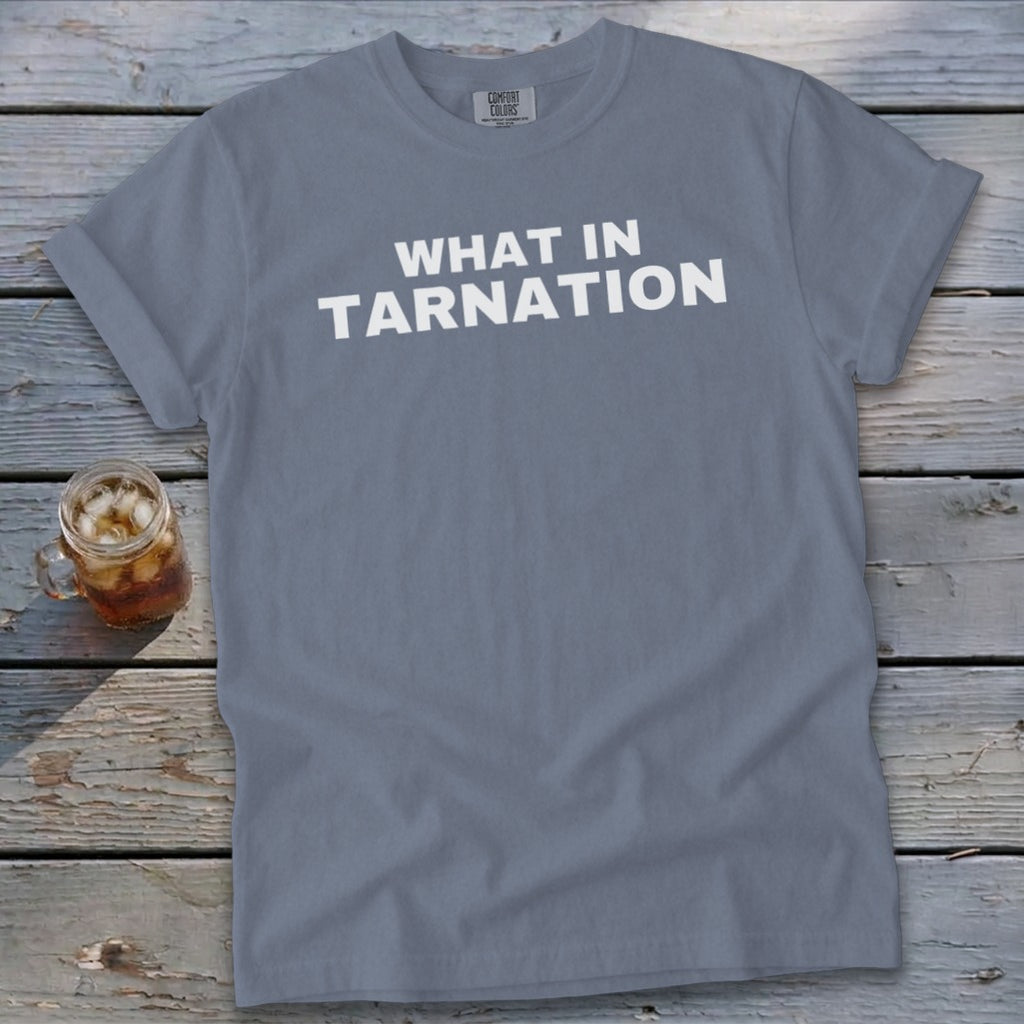 Gray t-shirt with white text that reads "WHAT IN TARNATION".