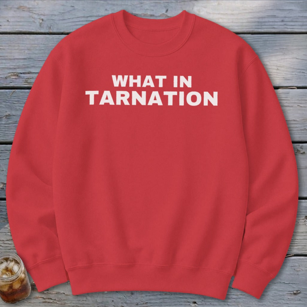 Red sweatshirt with white text "WHAT IN TARNATION"
