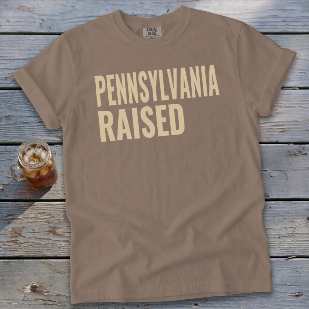 T-shirt with "PENNSYLVANIA RAISED" text in cream on a brown background.