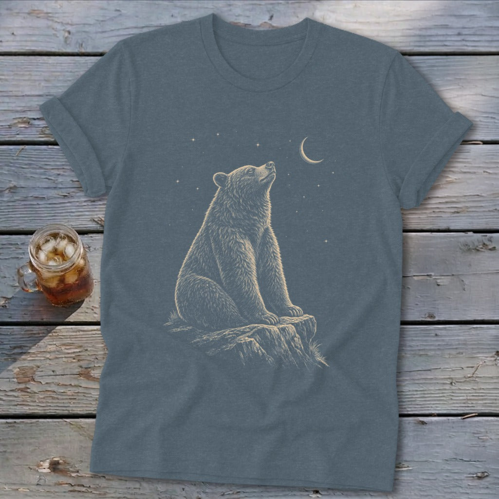 Bear sitting on a rock looking up at the moon and stars.
