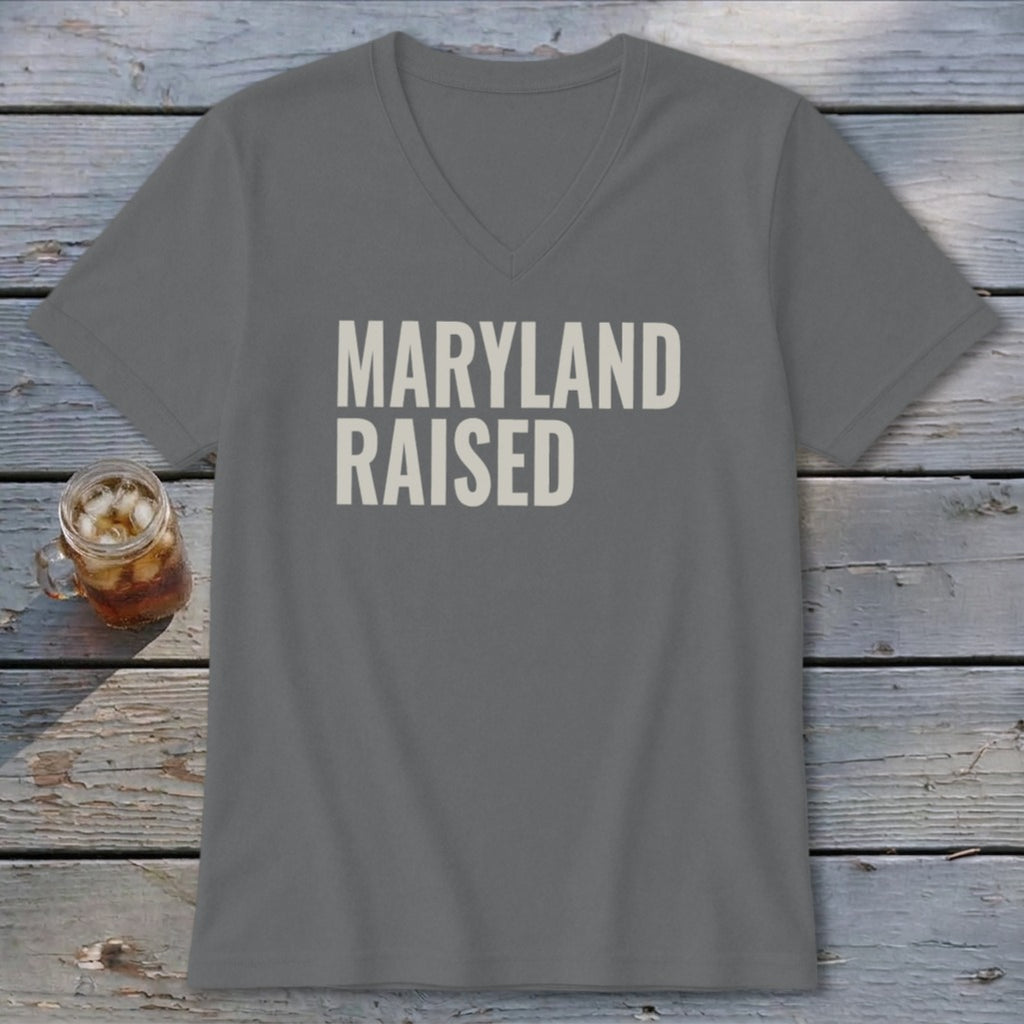 Gray V-neck t-shirt with "MARYLAND RAISED" printed in beige.