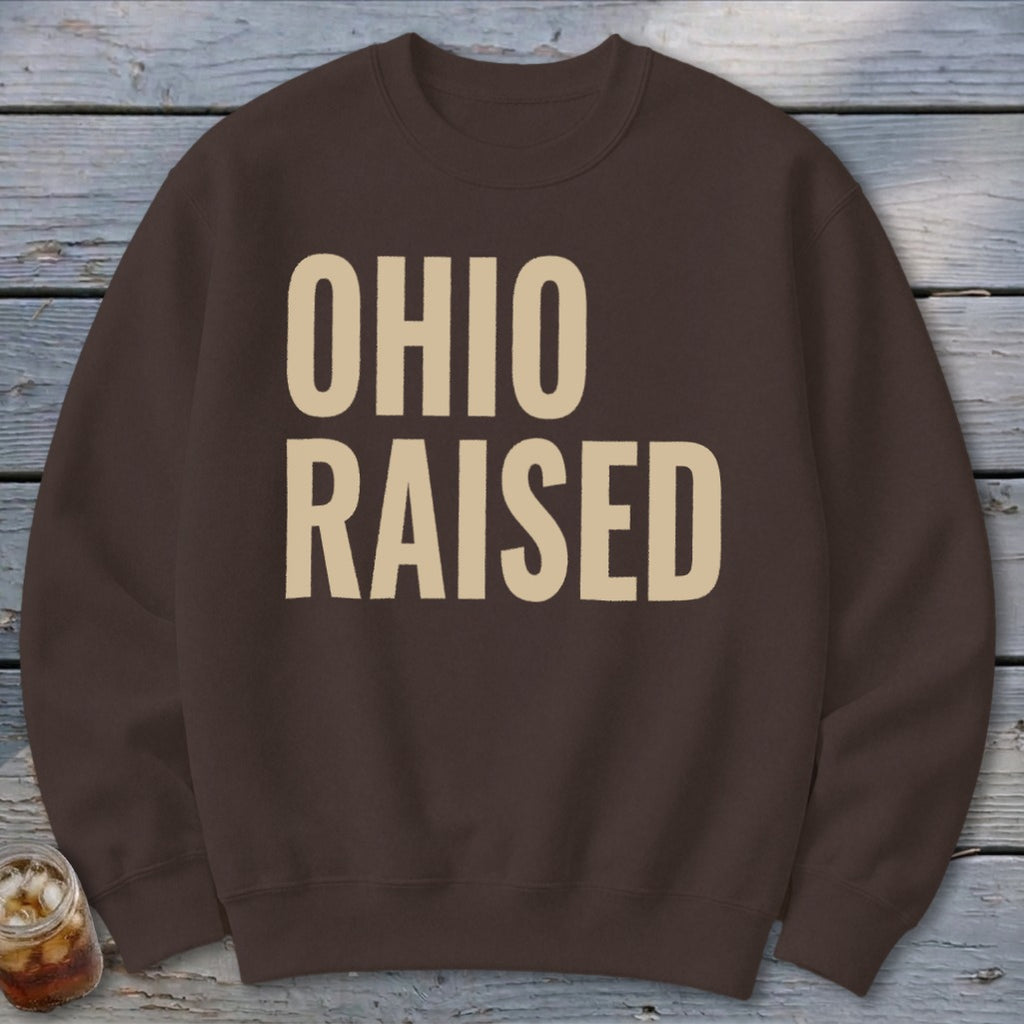 Brown sweatshirt with "OHIO RAISED" text in light beige.